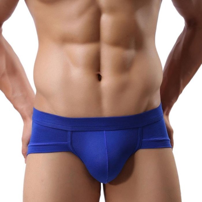 Underswear Laimeng,Trunks Sexy Underwear Men Men's Boxer Briefs Shorts Bulge Pouch soft Underpants (L, Blue) N17
