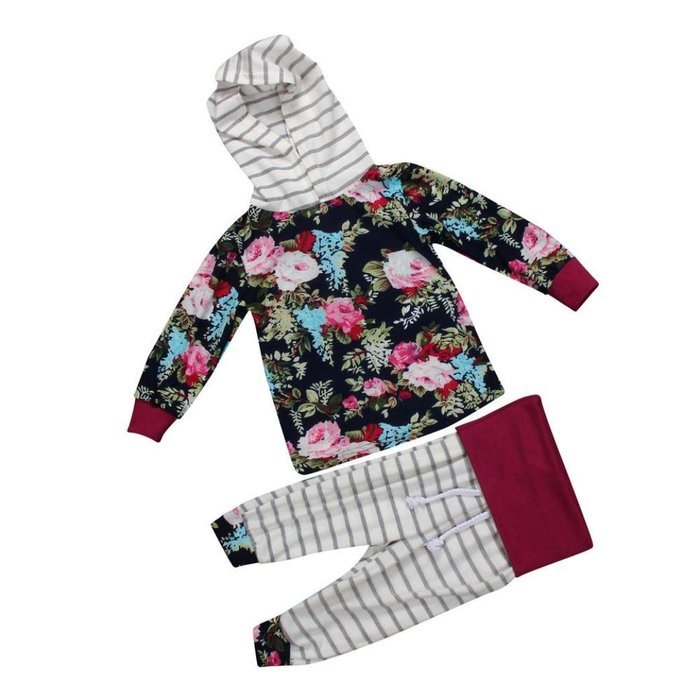 Clothes Set ,BeautyVan Kid Floral Baby Girls Long Sleeve T-shirt+Pants Outfits 2PCS Hooded Clothes Set (80, Purple) N6