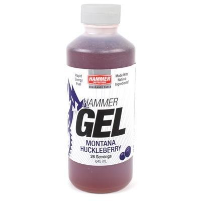 2013 Hammer Nutrition Complex Carbohydrate Energy Gel N9