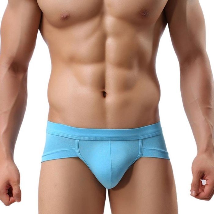 Underswear Laimeng,Trunks Sexy Underwear Men Men's Boxer Briefs Shorts Bulge Pouch soft Underpants (L, Blue) N24