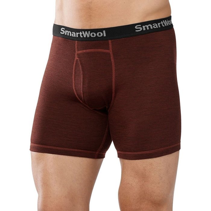 Smartwool NTS Micro 150 Pattern Boxer Brief - Men's Cinnamon Small N5