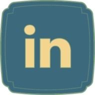 LinkedIn Icon N5