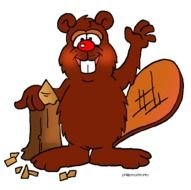 Beaver Clip Art N4