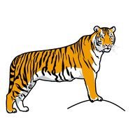 Clip art of Tiger