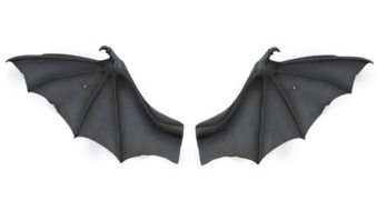 Cartoon Bat Wings clipart