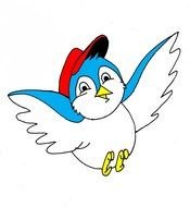 cartoon bird with a red hat