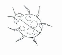 Lady Bug as a Drawing