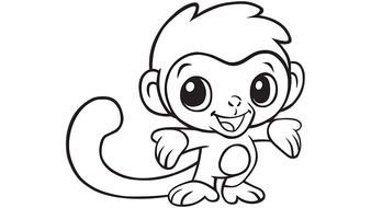 Baby Monkey Coloring Printable drawing