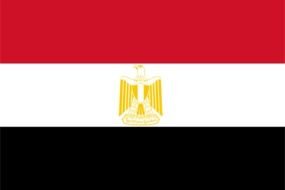 Egypt Flag bird drawing