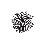 Pom flower Clip Art drawing