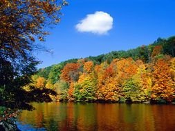 Beautiful Fall and river