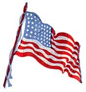 American Flag N9