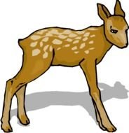 Deer Graphic