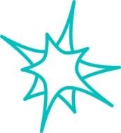 Teal Star Clip Art N2