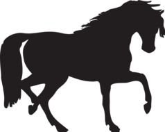 Horse Silhouette as a picture for clipart