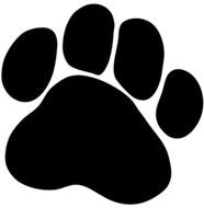 Dog Paw Print darwing