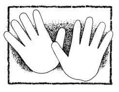hand drawings on a white background