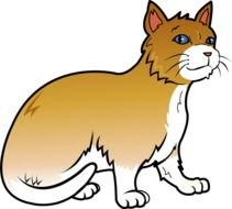 Orange Cat Clip Art N3