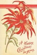 Beautiful and colorful Christmas Holidays postcard with the flowers clipart