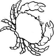 Crab Coloring Pages