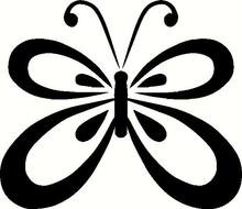 Butterfly Outline