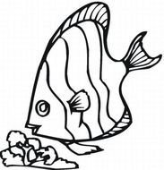Fish Coloring Pages N2