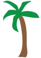 drawing of a palm tree with leaves on a white background