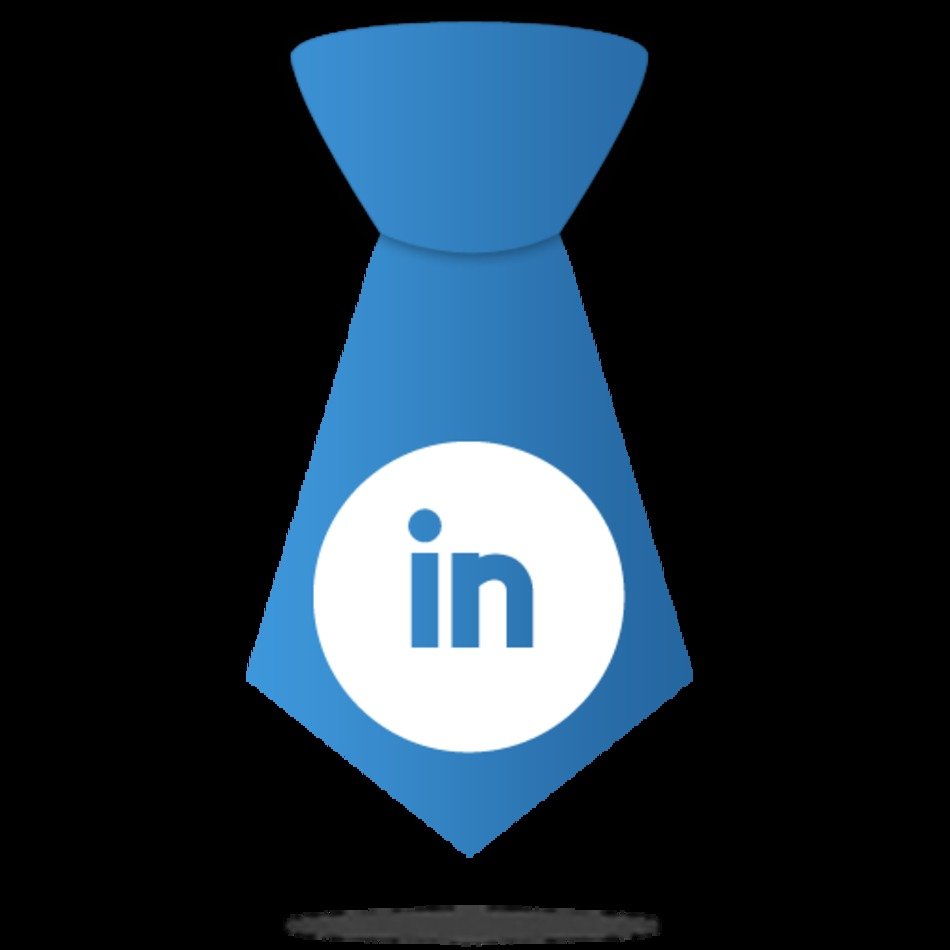 LinkedIn Icon N3