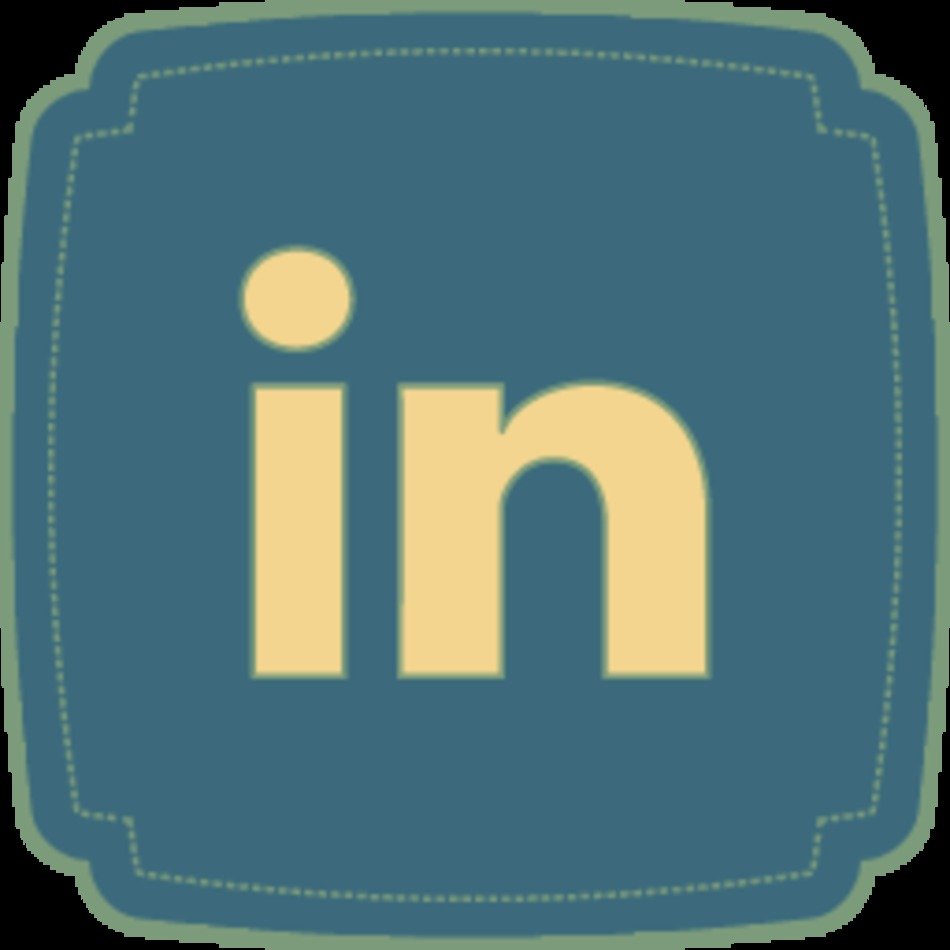 LinkedIn Icon N5