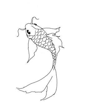 Koi Fish Line Drawing