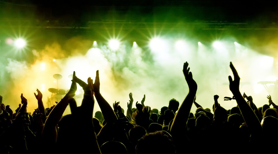 fans at an idol concert