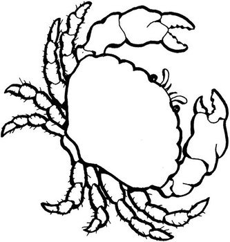Crab Coloring Pages