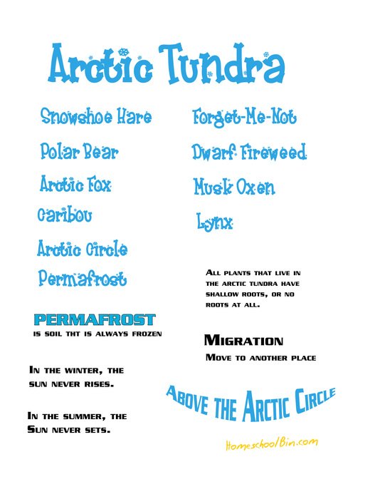 Arctic Tundra Biome Animals drawing