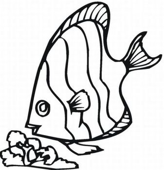 Fish Coloring Pages N2