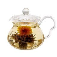 Tea Beyond Teapot Fairy with Tea Warmer Cozy N4