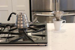 Gooseneck Kettle with Thermometer - 1.2L N6