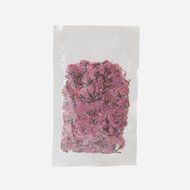 Tokyo Matcha Selection Tea - [Caffeine Free] Sakura Tea 100g (3.52oz) Japanese cherry blossom tea from Japan [...