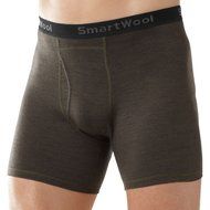 Smartwool NTS Micro 150 Pattern Boxer Brief - Men's Cinnamon Small N7