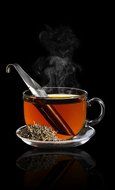 AKOAK Food Grade Stainless Steel Teastick,Tea Infuser like Steeper Pipe,Great for Loose tea, Herbs or Spice N6