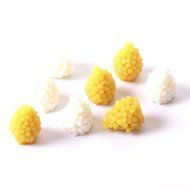 World Of Moulds Raspberry Silicone Mould 12 Cavity N3