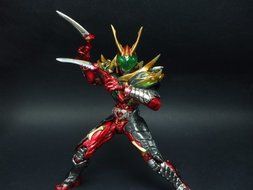 S.I.C. Kamen Rider WILD CHALICE Tamashii Nation 2010 Exclusive N4