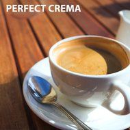 Luvao Espresso Coffee Tamper, Highest Quality Stainless Steel, American Convex Base, 58mm N6