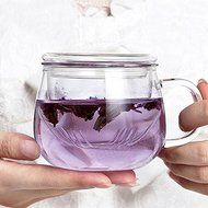 Saver 320ml Heat Resistant Transparent Glass Cup Tea Cup With Lid Infuser Filter N3