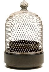 Scentsy Element Warmer - Birdcage