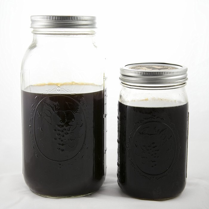 CoffeeSock ColdBrew Kit- Reusable Organic Cotton Filter and Jar (KIT32) N9