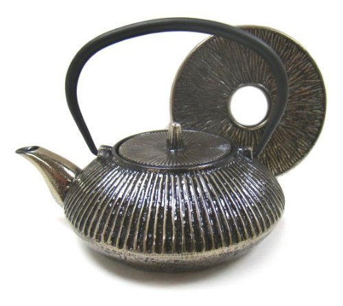 Silver Metal Cast Iron Teapot with Trivet, 20 Oz Capacity