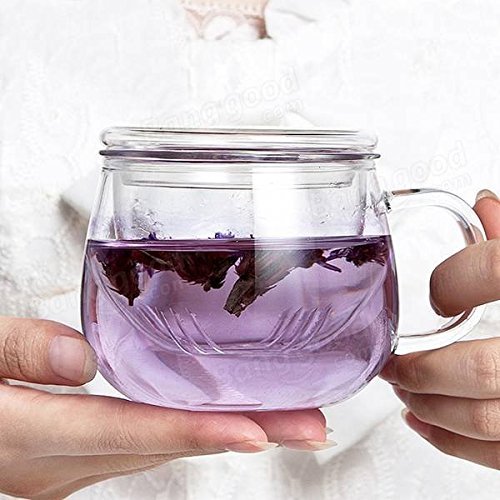 Saver 320ml Heat Resistant Transparent Glass Cup Tea Cup With Lid Infuser Filter N3