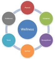 Employee Health Wellness Programs