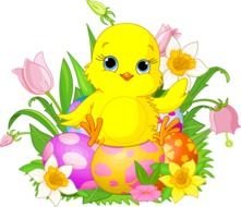 Easter Chick Clip Art N8