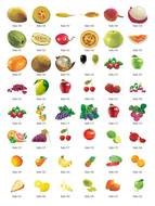 Fruit Clip Art N37
